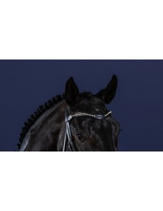 Frontal En V Demi Swarovski...