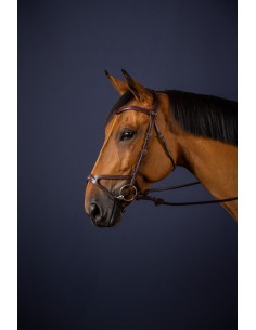 Tétière 1 Branche Aves...