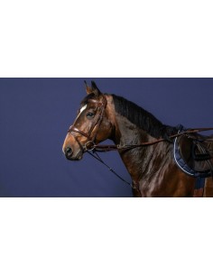 Fourchette Howlett DY'ON