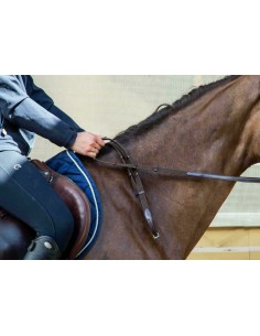 Rênes Tissu 5/8 Avec 9... 2