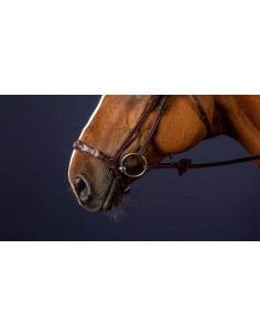 Muserolle Allemande...