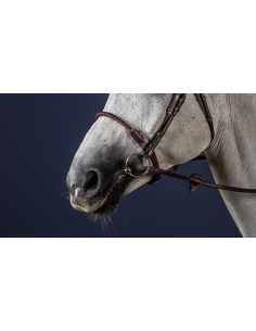 Muserolle En Corde...