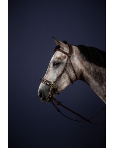 Montants Pour Hackamore DY'ON