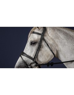 Montants De Mors DY'ON 2