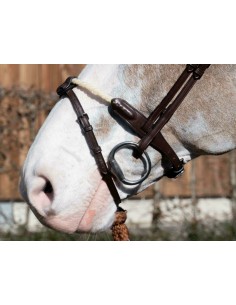 Sous Barbe 1/2 Avec 2... 2