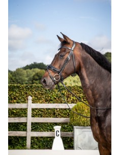 Bridon Muserolle Combinée... 2