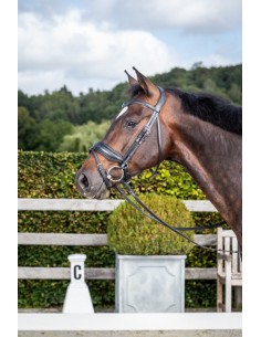 Bridon Muserolle Combinée...