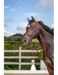 Bridon Muserolle Combinée... 2