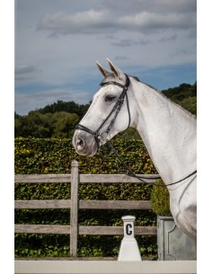 Bridon Muserolle Allemande... 2