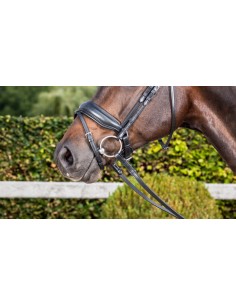 Muserolle Combinée Large... 2