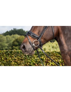 Muserolle Combinée Large... 2