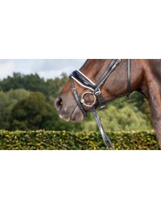 Muserolle Combinée Large... 2