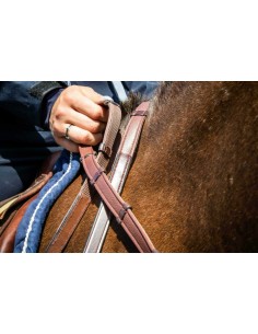Rênes Hunter Grip Avec 7... 2
