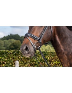 Muserolle Combinée Moyenne... 2