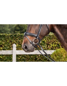 Muserolle Combinée Moyenne... 2