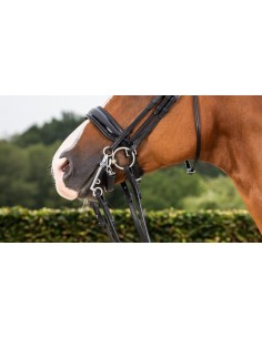 Muserolle Large Fermeture... 2