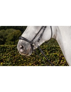 Muserolle Allemande... 2