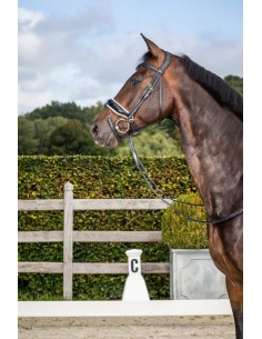 Tétière "Type Dressage" DY'ON 2