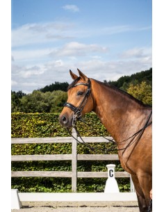 Bride Muserolle Large DY'ON 2