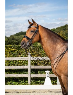 Bride Muserolle Large... 2