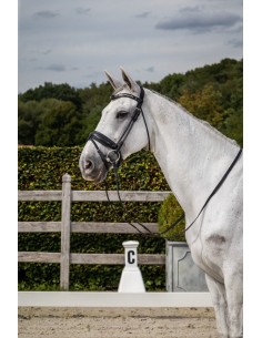 Bridon Muserolle Combinée... 2