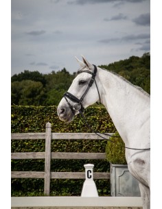 Bridon Muserolle Combinée... 2