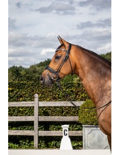 Bridon Muserolle Combinée... 2