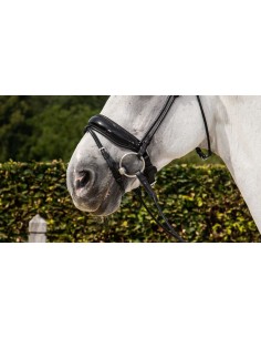 Muserolle Combinée Large... 2