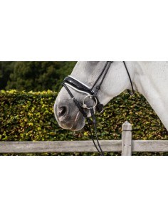 Muserolle Combinée Large... 2