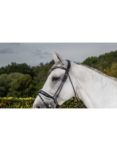 Tétière "Type Dressage" DY'ON 2