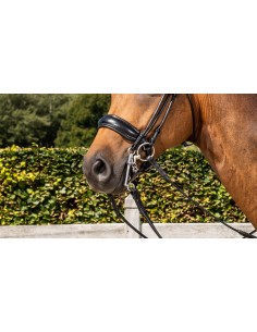 Muserolle Large Fermeture... 2