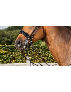 Muserolle Large Fermeture... 2