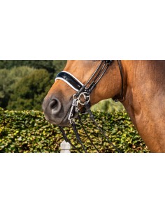 Muserolle Large Vernie Avec... 2