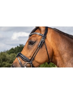 Montants De Mors DY'ON 2