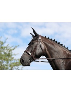 Bridon Hunter US DY'ON 2