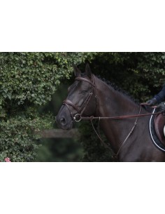 Bridon Muserolle Combinée...