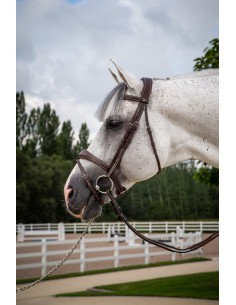 Bridon Muserolle Combinée... 2