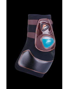 Protège-boulet eUltra rear 2