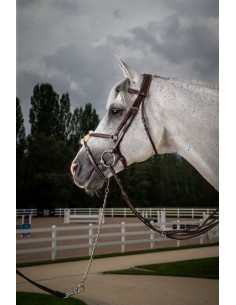 Bridon Muserolle Croisée DY'ON