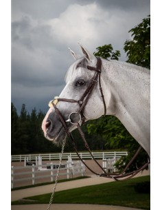 Bridon Muserolle Croisée DY'ON 2