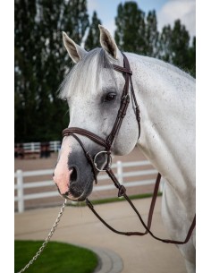 Bridon Muserolle Combinée...