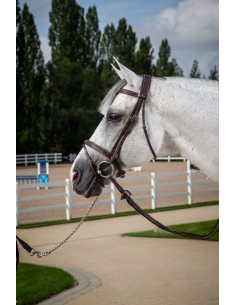 Bridon Muserolle Combinée... 2