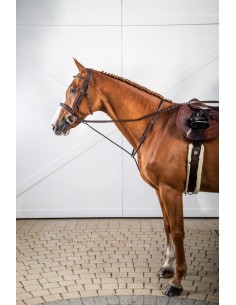 Bridon Muserolle Française...