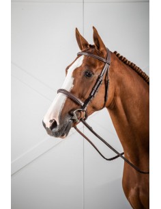 Bridon Muserolle Française... 2