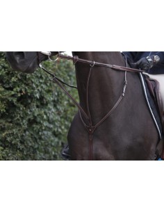 Martingale A Anneaux DY'ON