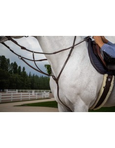 Martingale A Anneaux DY'ON 2