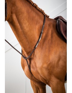 Martingale Fixe DY'ON