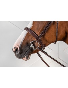 Muserolle Hunter DY'ON