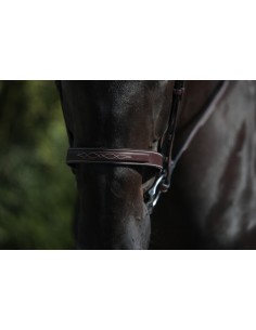 Muserolle Hunter DY'ON 2