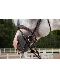 Muserolle Combinée... 2